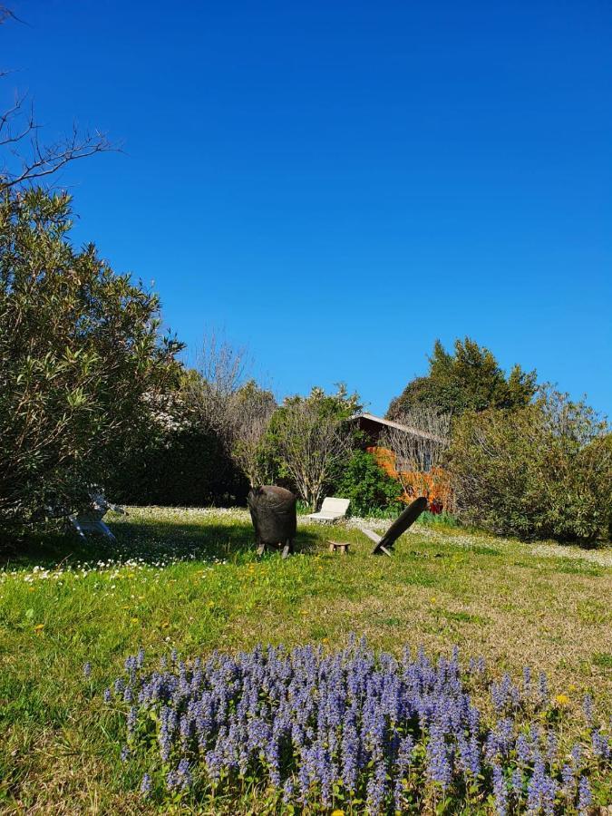 La Cabane Du Pesquier En Provence Caumont-sur-Durance Esterno foto
