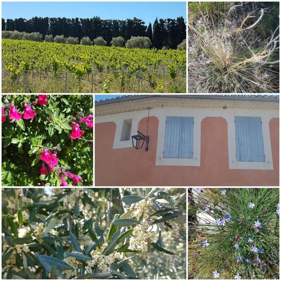 La Cabane Du Pesquier En Provence Caumont-sur-Durance Esterno foto